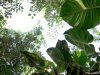 Biosfera
