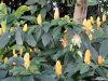 Biosfera