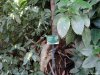 Biosfera