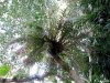 Biosfera