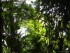 Biosfera