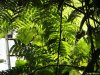 Biosfera