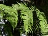 Biosfera
