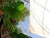 Biosfera