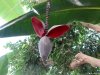 Biosfera