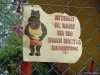 Brunate