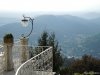 Brunate