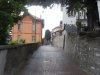 Brunate