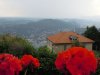 Brunate