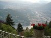 Brunate