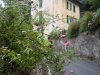 Brunate