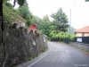 Brunate