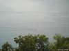 Brunate