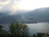 Brunate