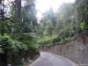 Brunate