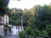 Brunate