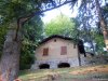 Brunate