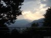 Brunate