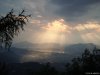 Brunate
