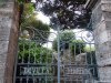 Brunate