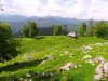 Parcul National Buila - Vanturarita