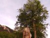 Parcul National Buila - Vanturarita