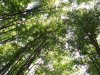 Parcul National Buila - Vanturarita