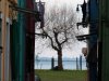 Burano