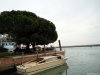 DSCN8091