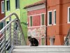 Burano