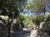 Castelul Aragonez din Ischia