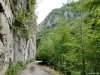 Cheile Oltetului