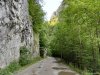 Cheile Oltetului