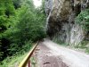 Cheile Oltetului