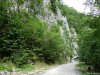 Cheile Oltetului