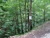 Cheile Oltetului