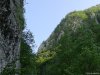 Cheile Oltetului