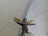 Biserica fortificata din Cisnadie
