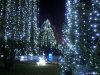 Craiova