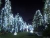 Craiova