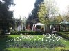 Craiova