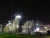 Craiova