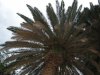 Croatia - Split si Supetar