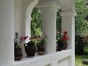 Cula Duca