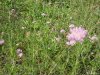 Eselnita - Cazanele Dunarii