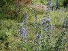 Eselnita - Cazanele Dunarii