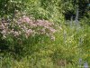 Eselnita - Cazanele Dunarii