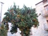 Fondi