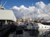 Genova