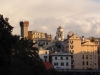 Genova